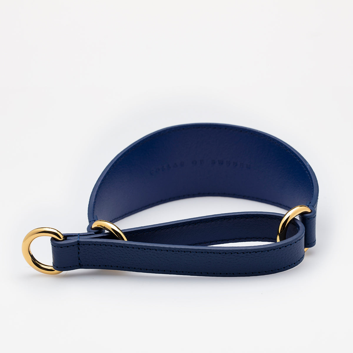 Dark Blue Dog Martingale Wide