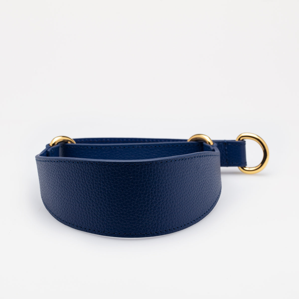 Dark Blue Dog Martingale Wide