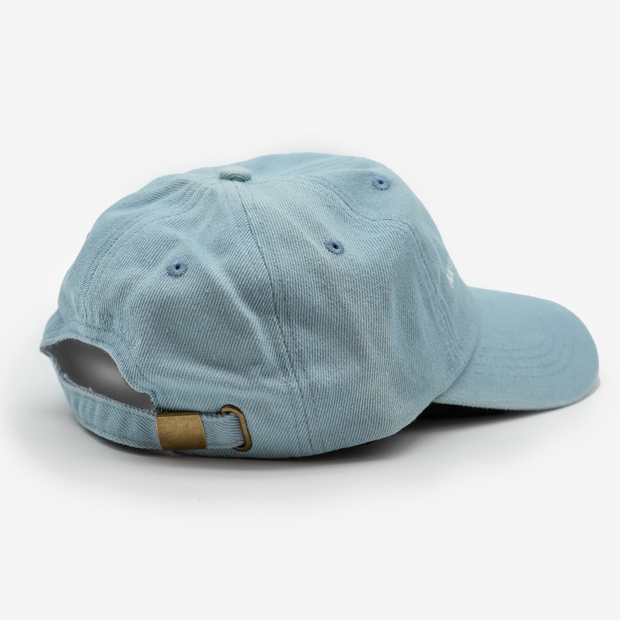 Denim Cap - Anti-Social Dog Owner