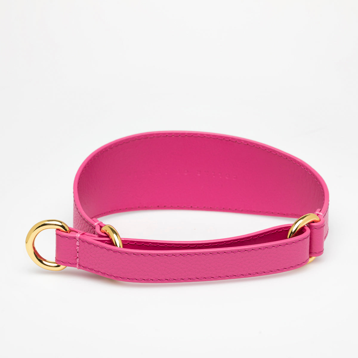 Hot Pink Dog Martingale Wide