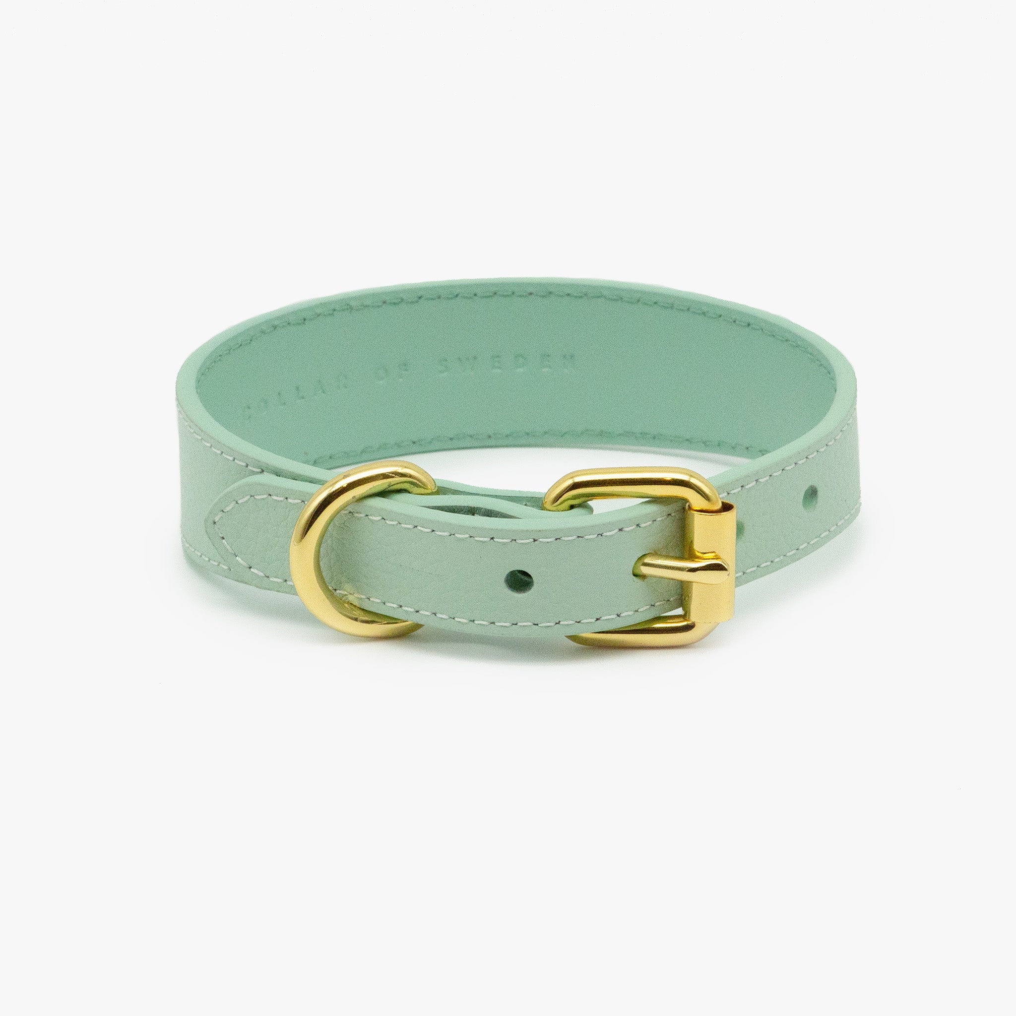 Mint Dog Collar Thin