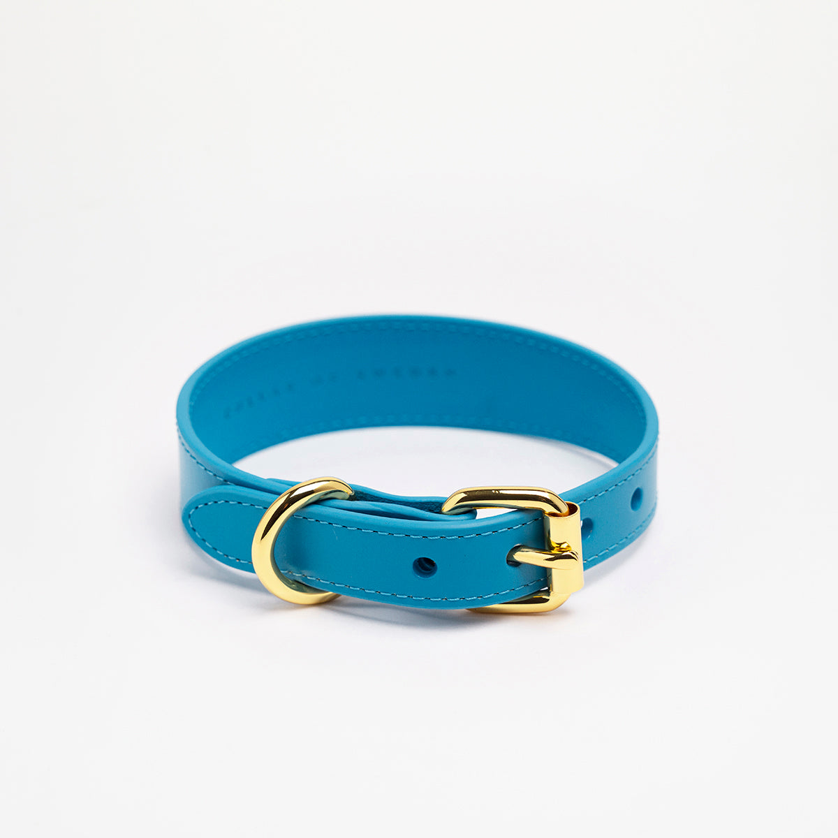 Neon Blue Dog Collar Thin