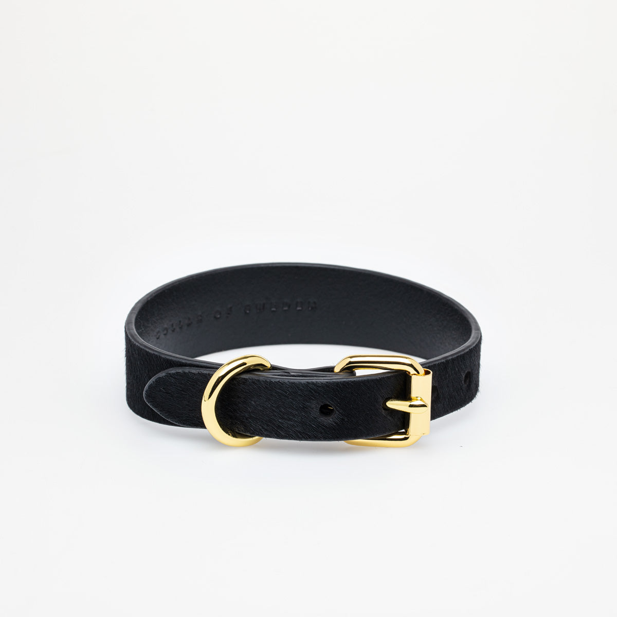 Panther Dog Collar Thin