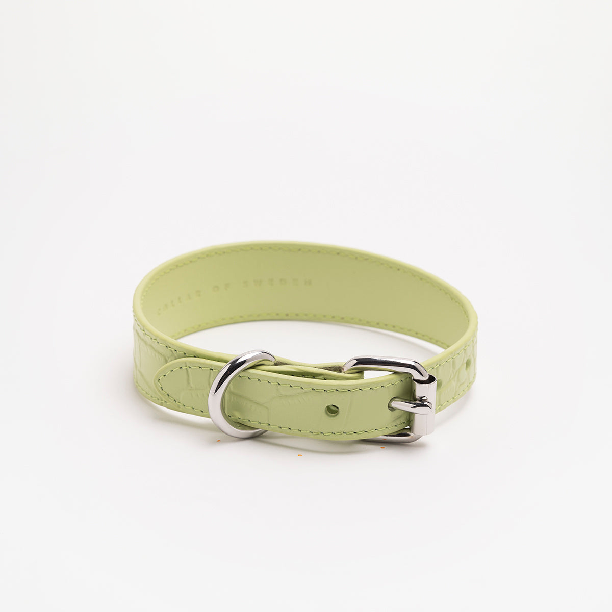 Pastel Green Croco Dog Collar Thin