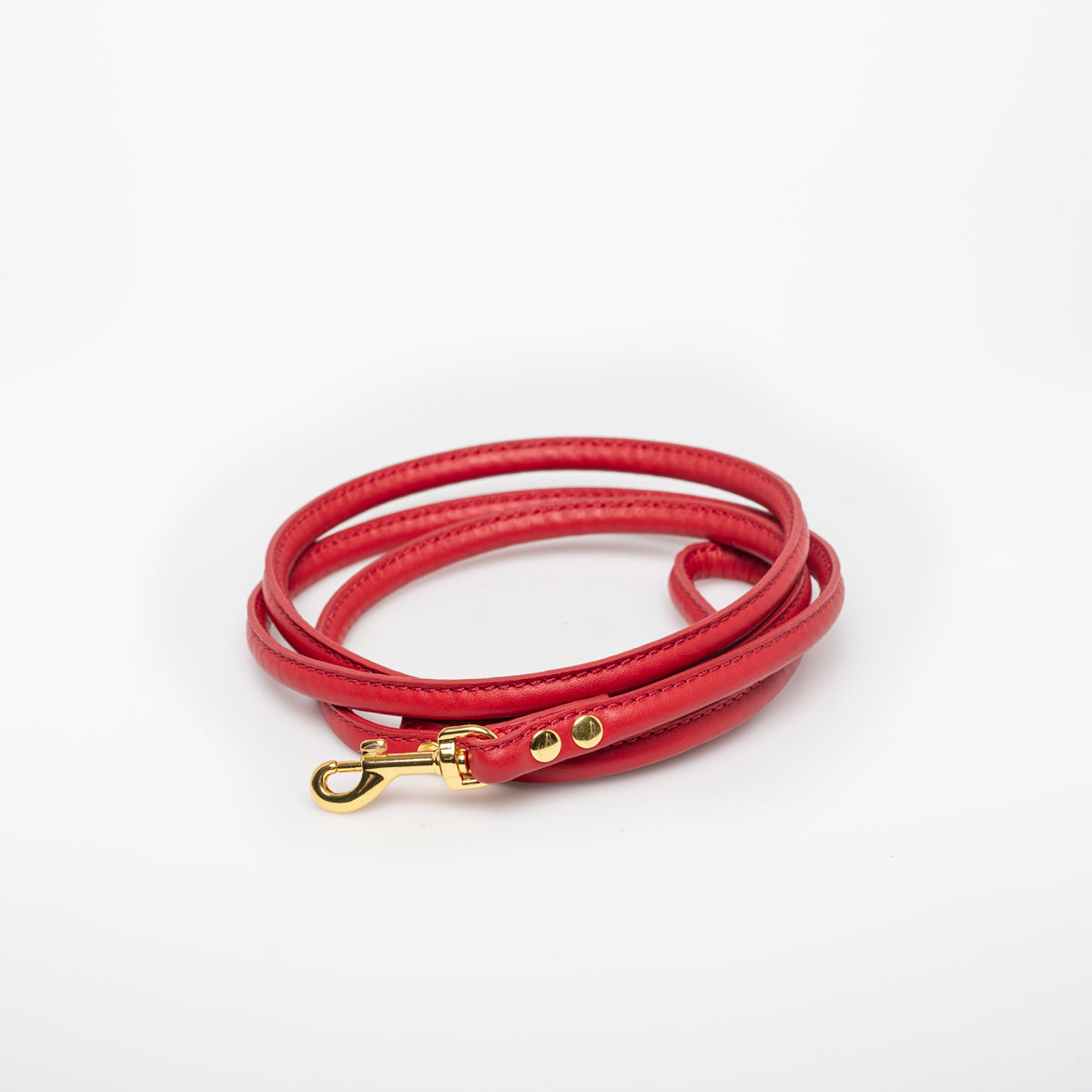 Red Dog Lead