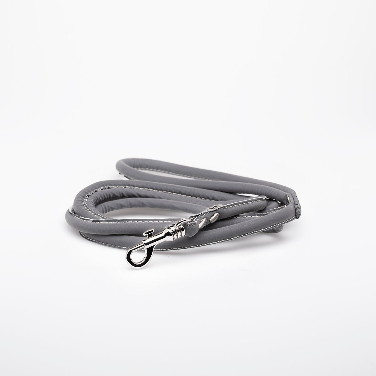 Reflective Silver Dog Lead