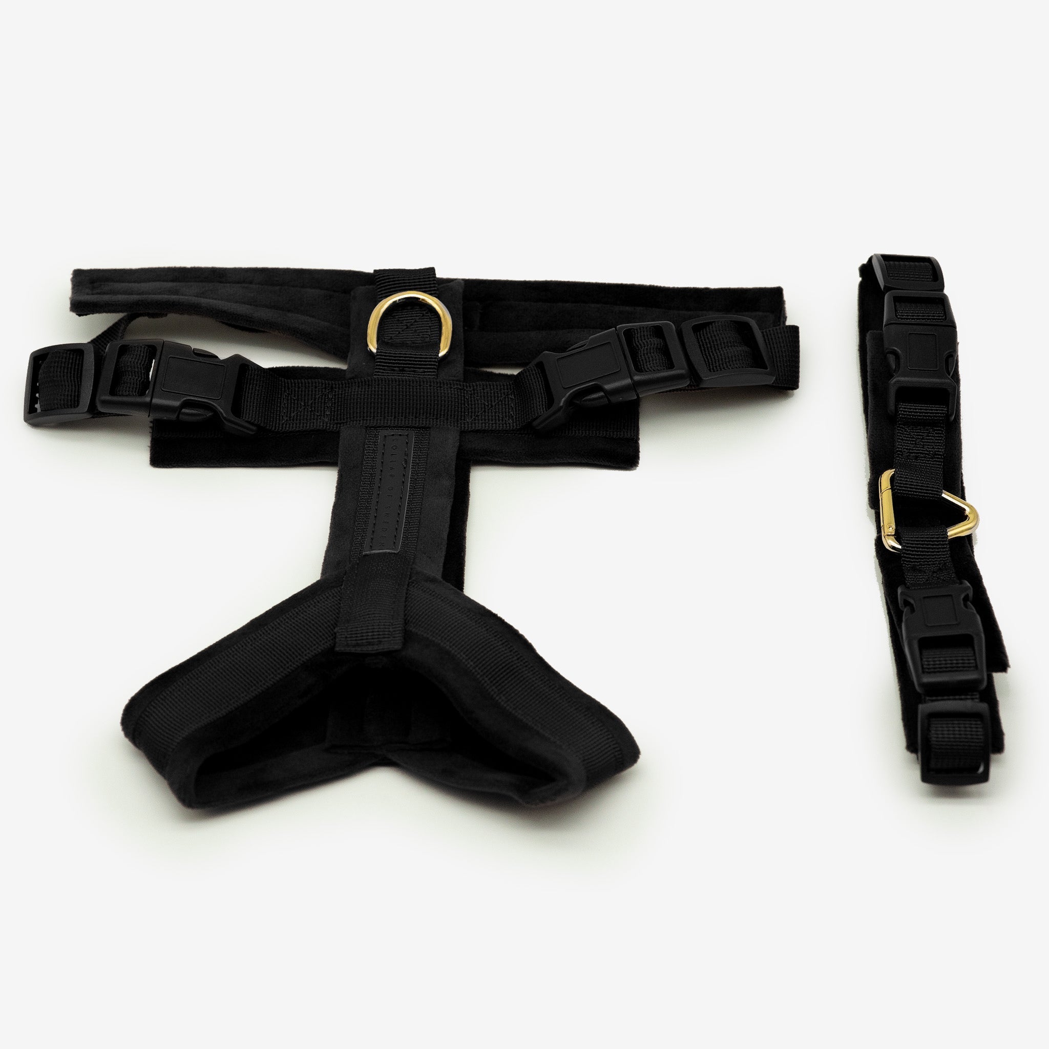 Black Y-Harness XS