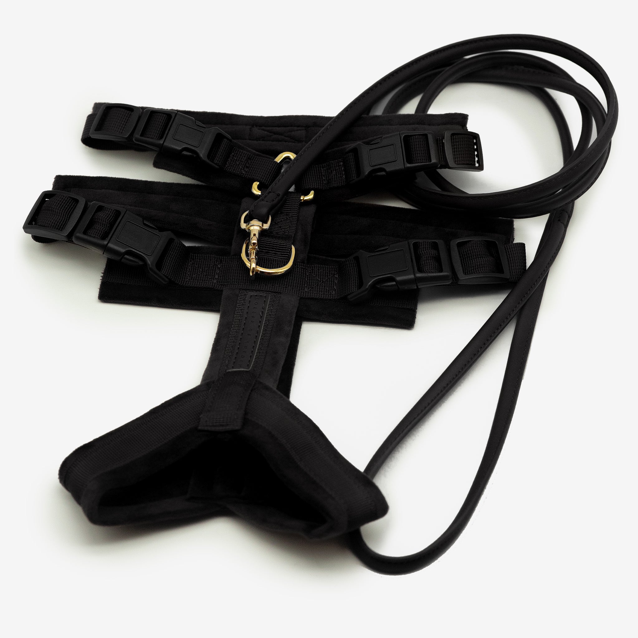 Black Y-Harness XS