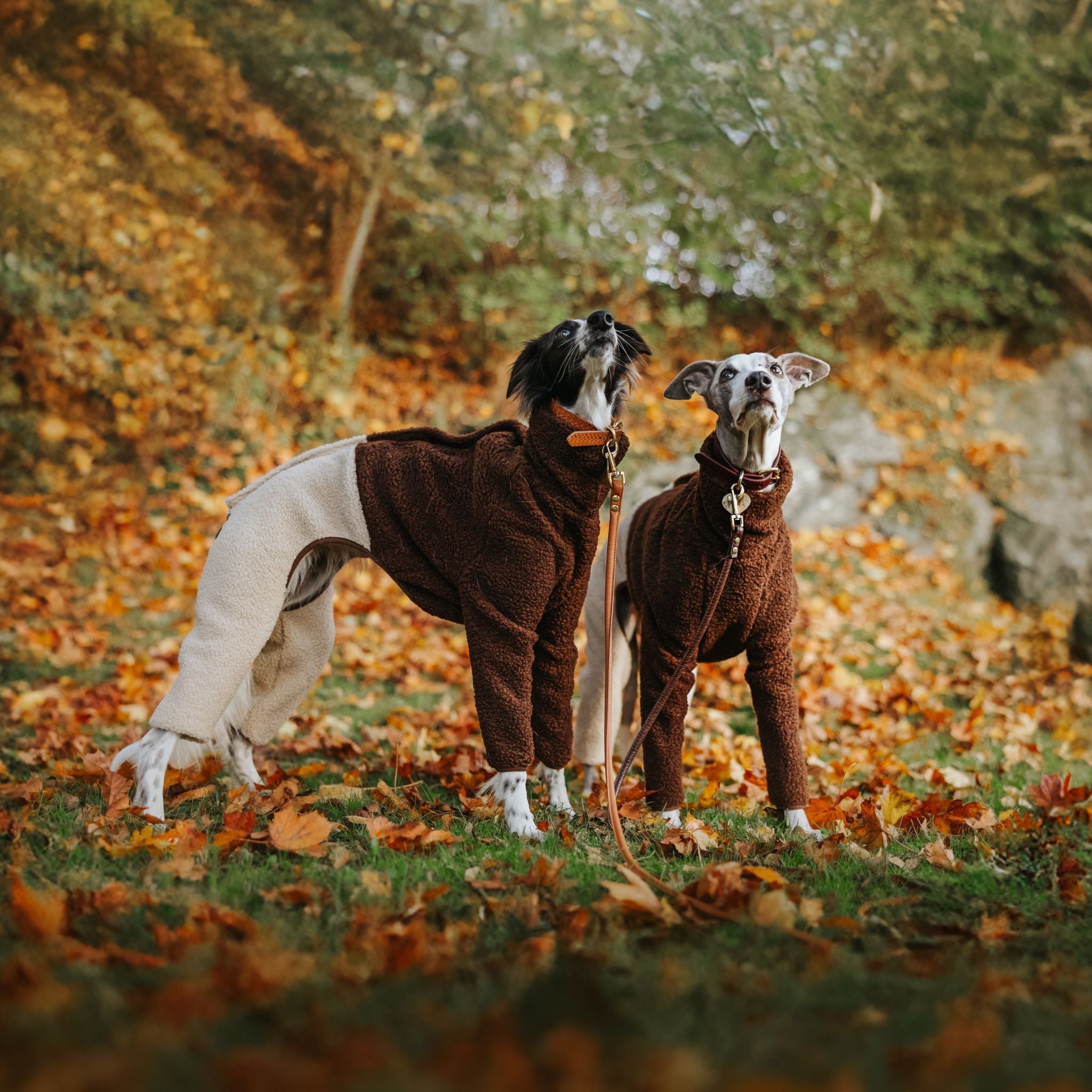 Beige & Brown Sighthound Fleece Onesie