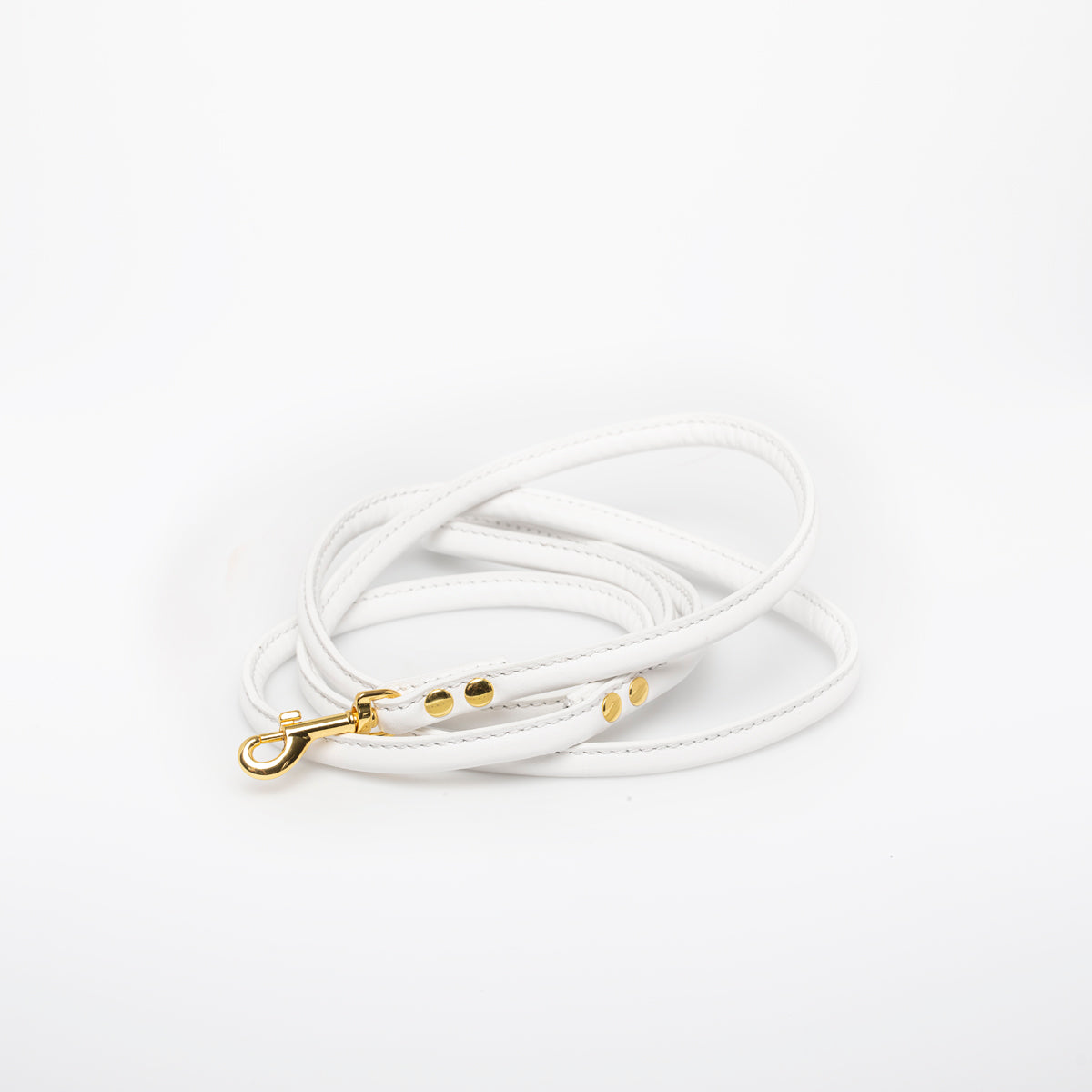 White Dog Lead