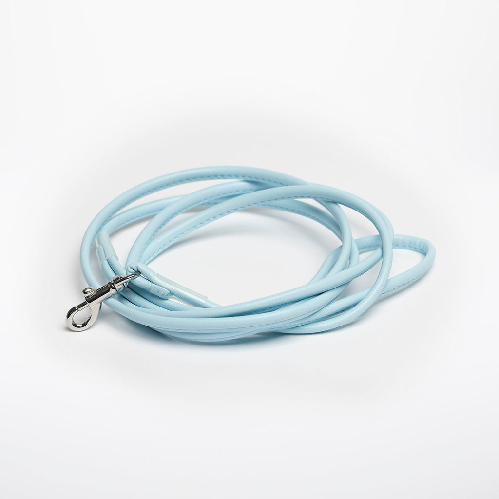 Baby Blue Dog Lead