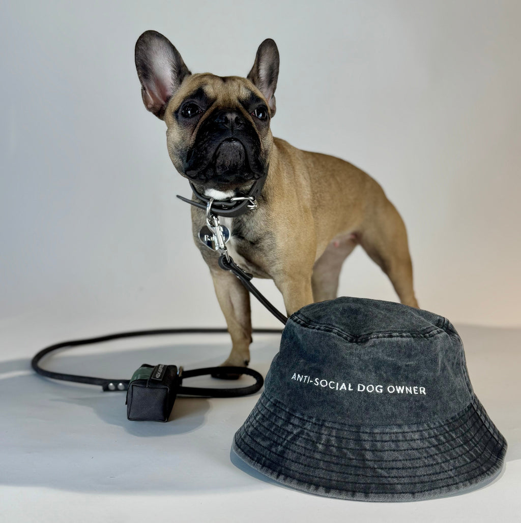 Black Denim Bucket Hat - Anti-Social Dog Owner