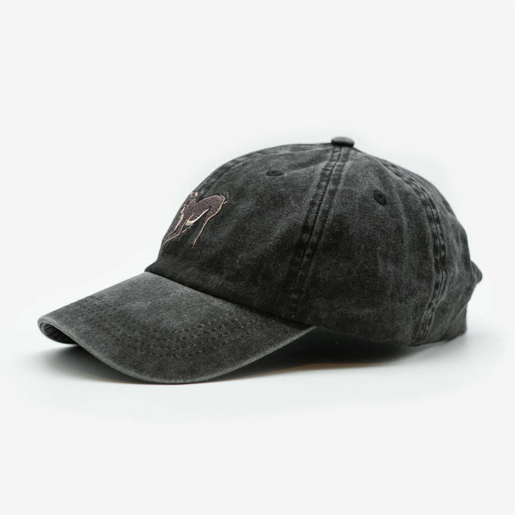 Black Denim Cap - Greyhound