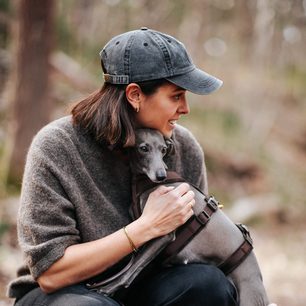 Coffee Brown Y-Harness XS