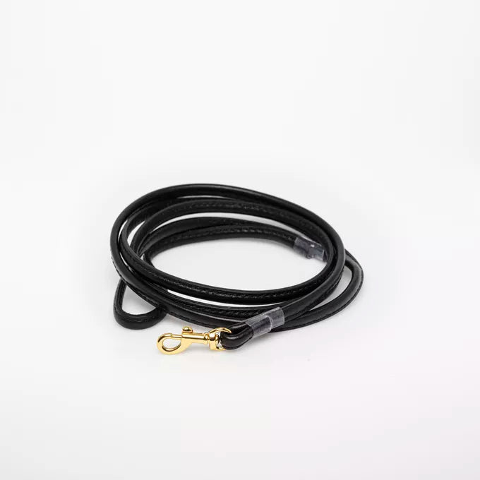 Black Dog Lead