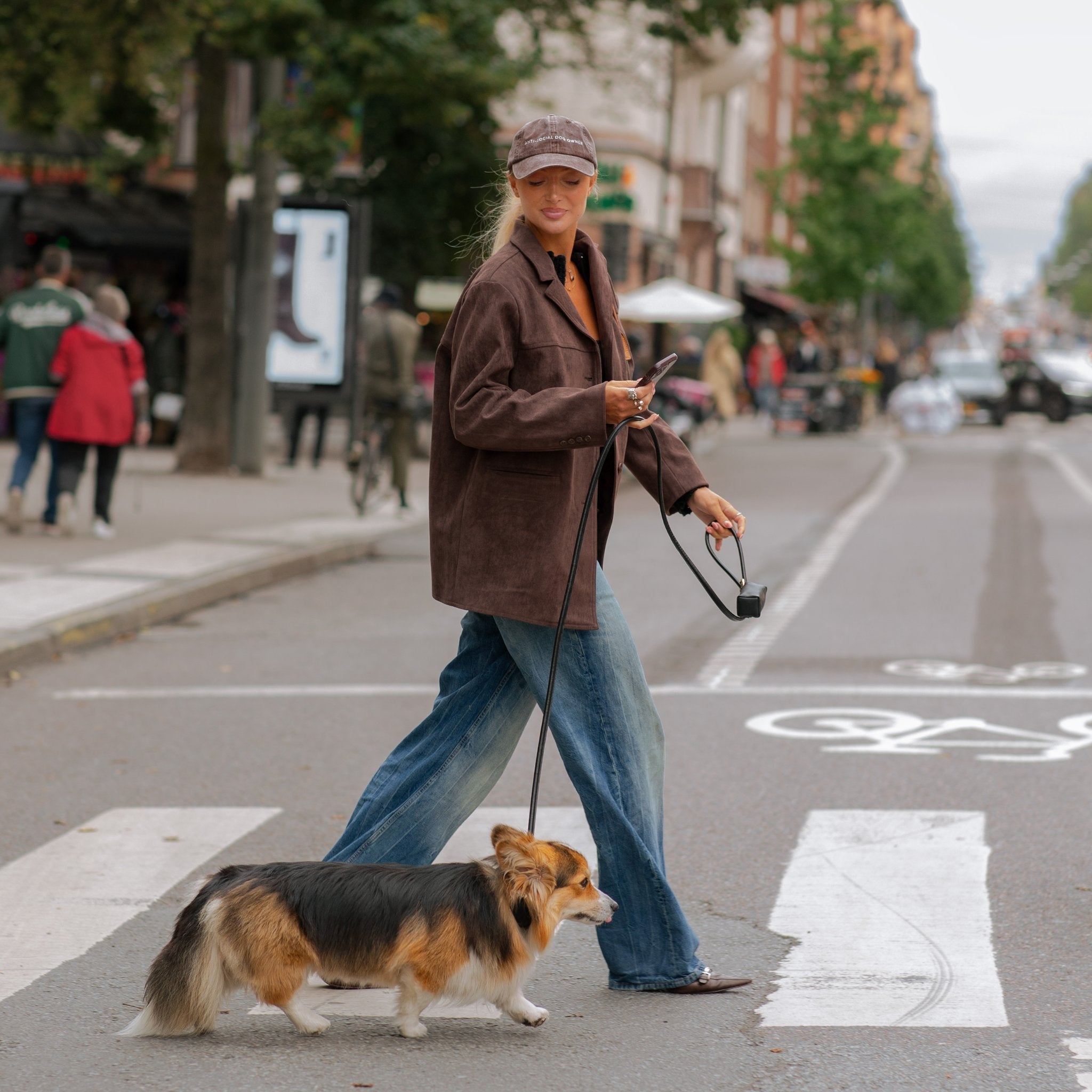 Brown Denim Cap - Anti-Social Dog Owner