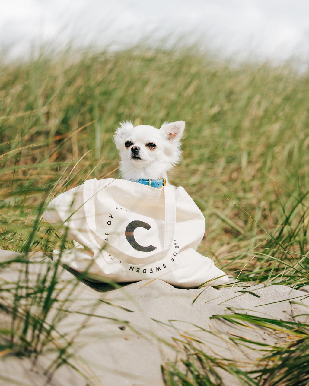 Weekend Tote Bag