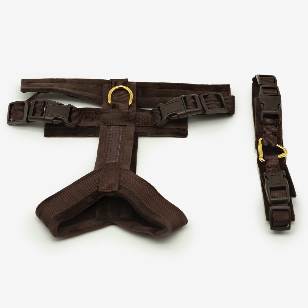 Coffee Brown Y-Harness XS