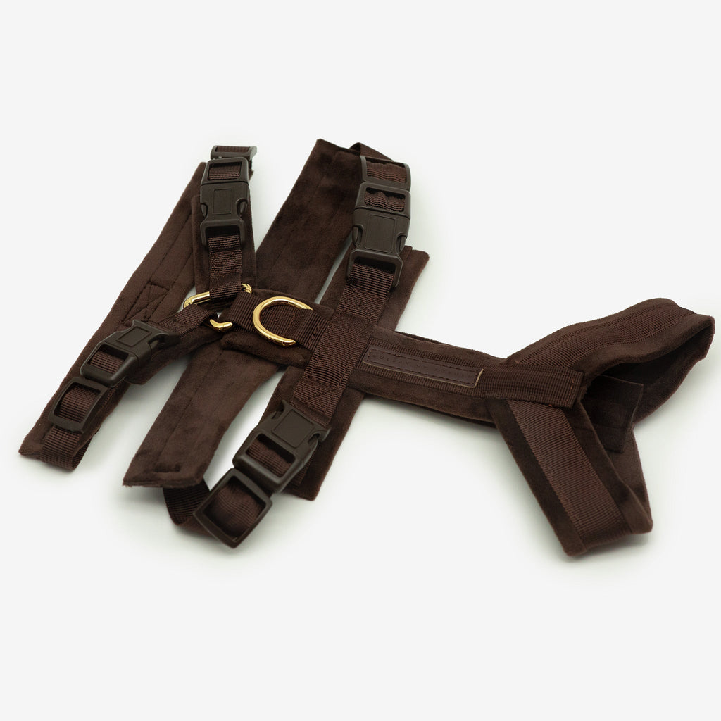 Coffee Brown Y-Harness XS