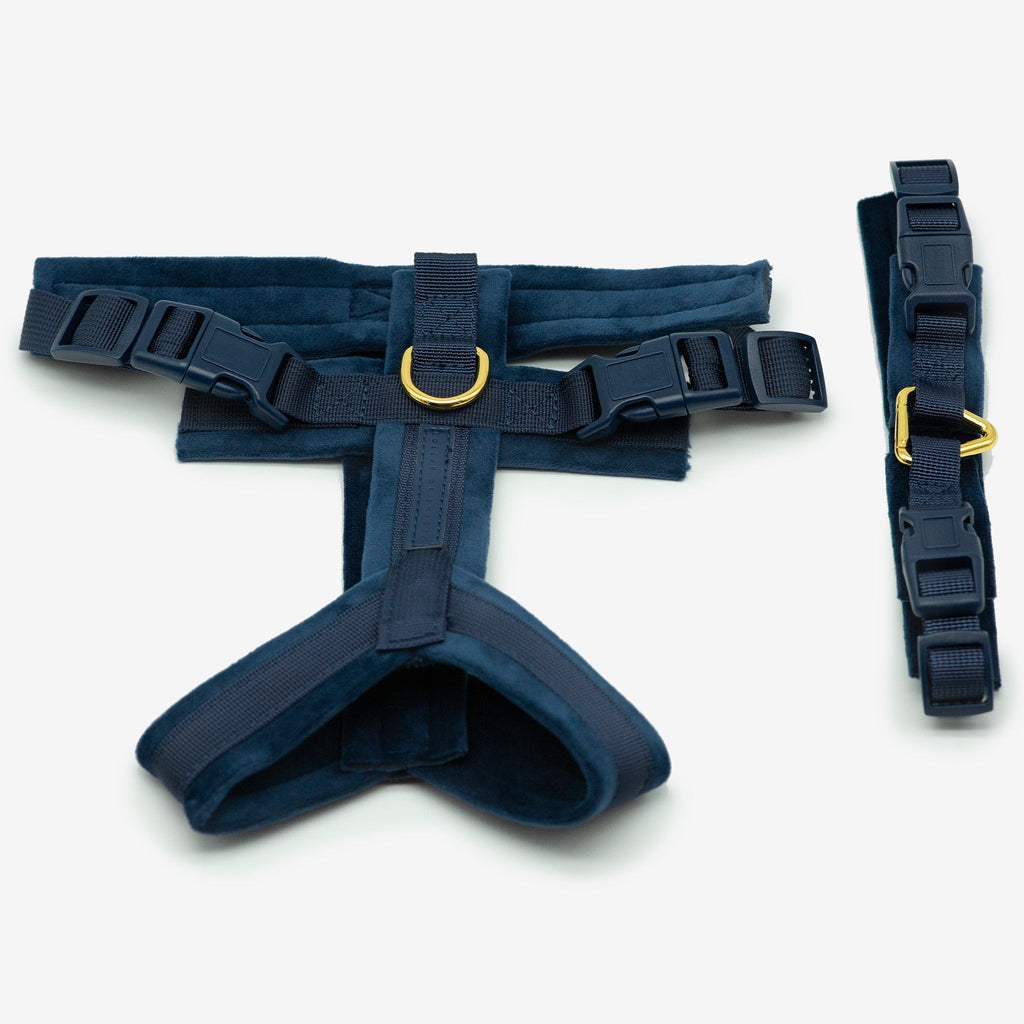 Dark Blue Y-Harness XS