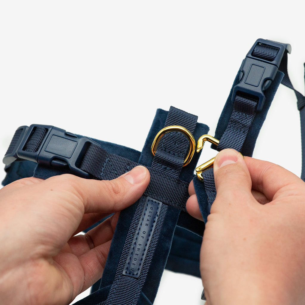 Dark Blue Y-Harness XS