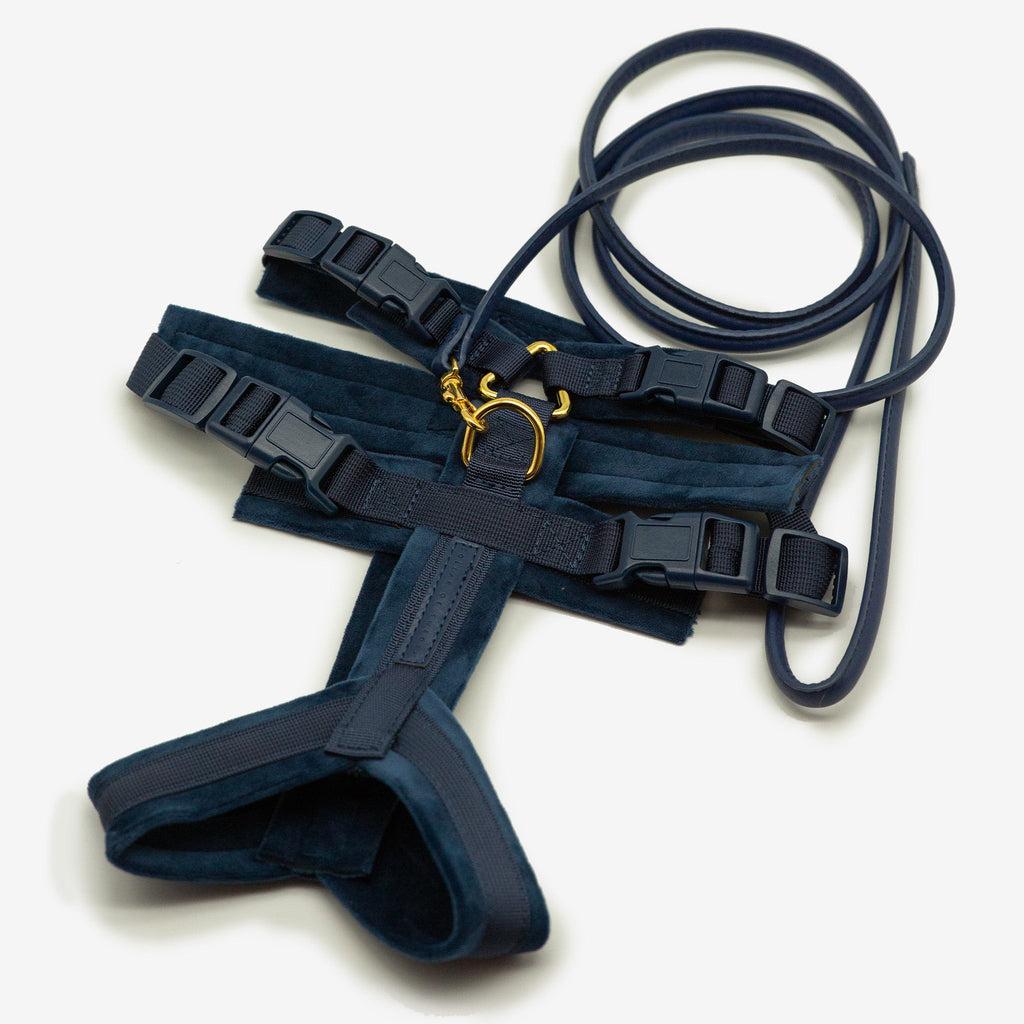 Dark Blue Y-Harness XS