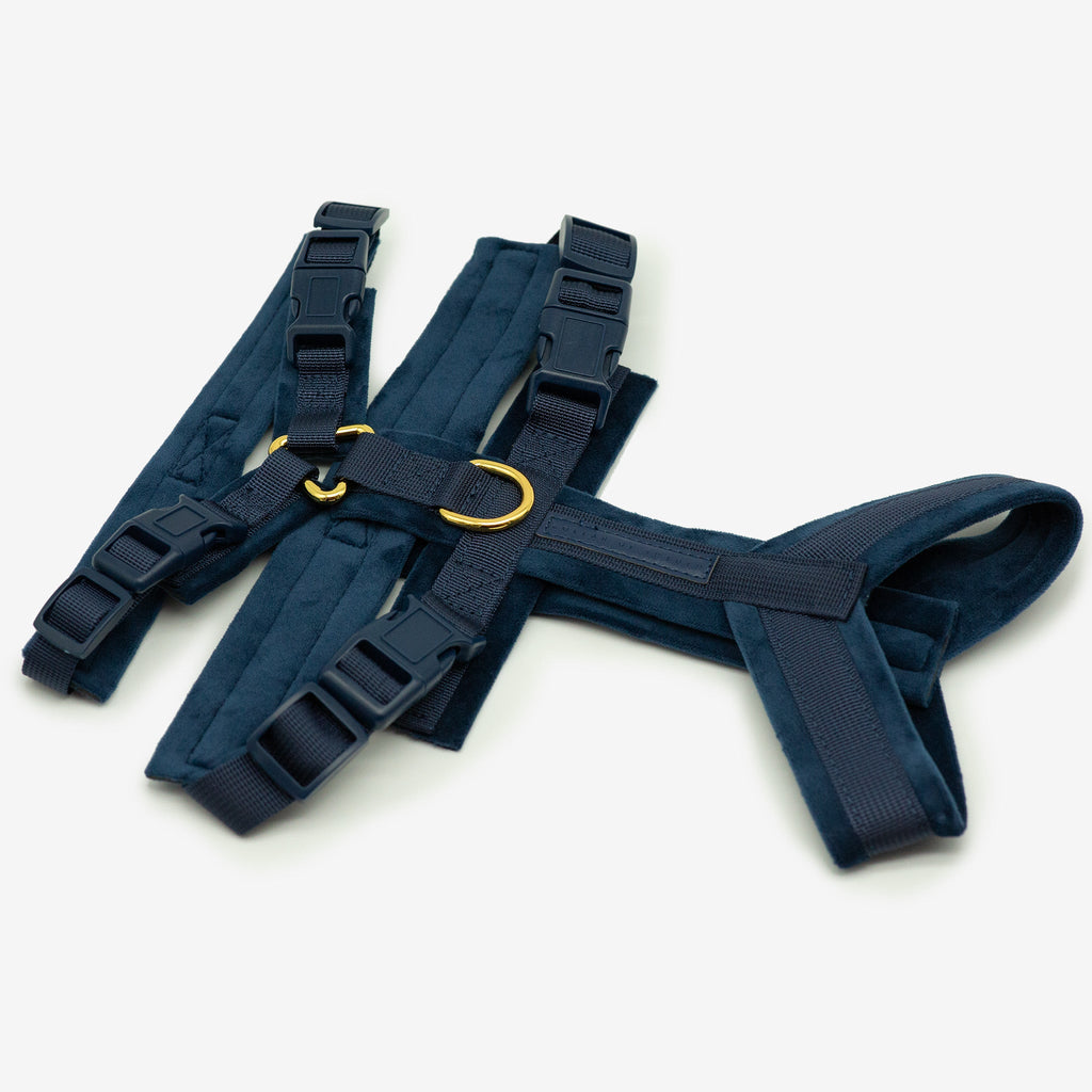 Dark Blue Y-Harness XS