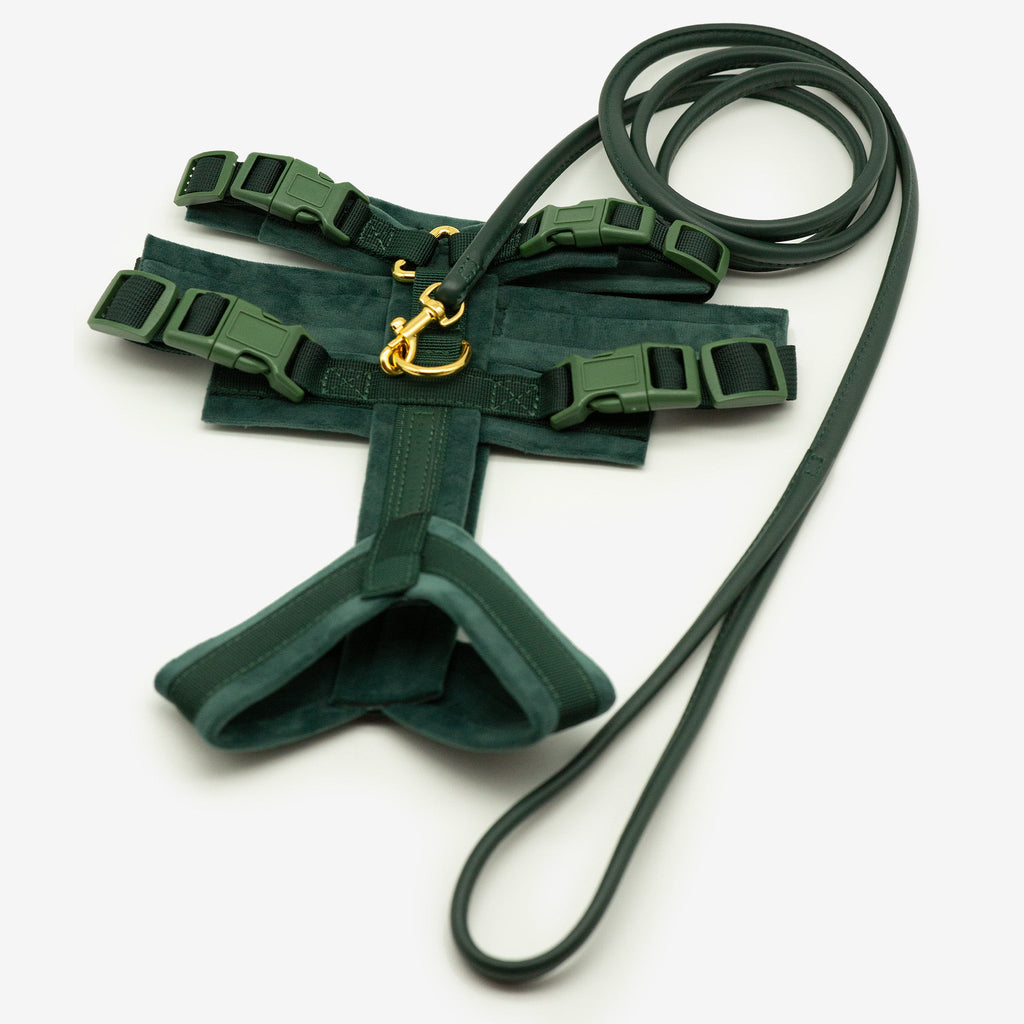 Dark Green Y-Harness XS
