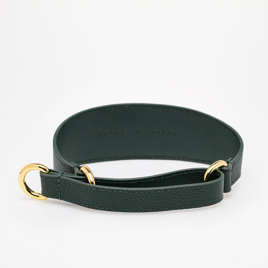Dark Green Dog Martingale Wide