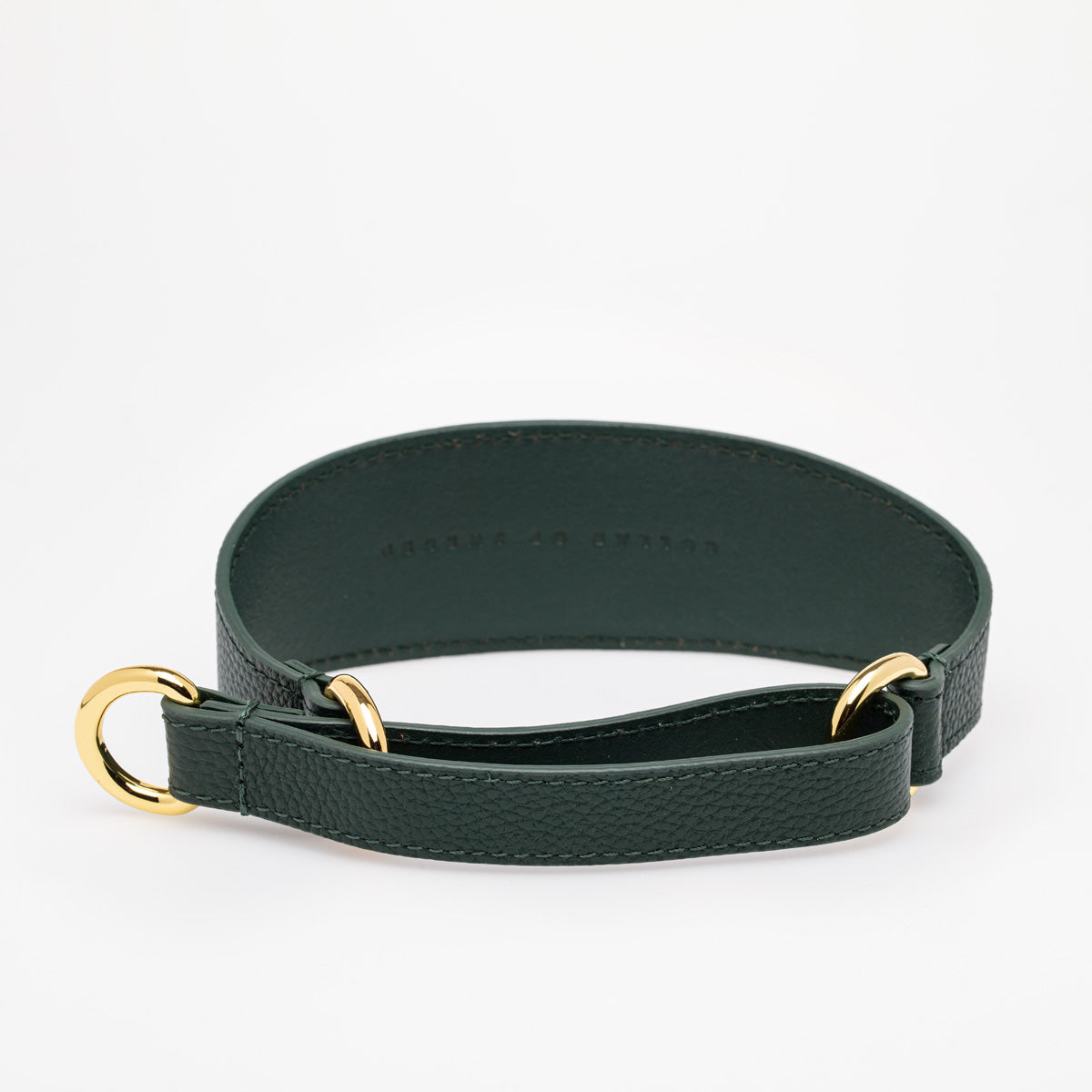Dark Green Dog Martingale Wide