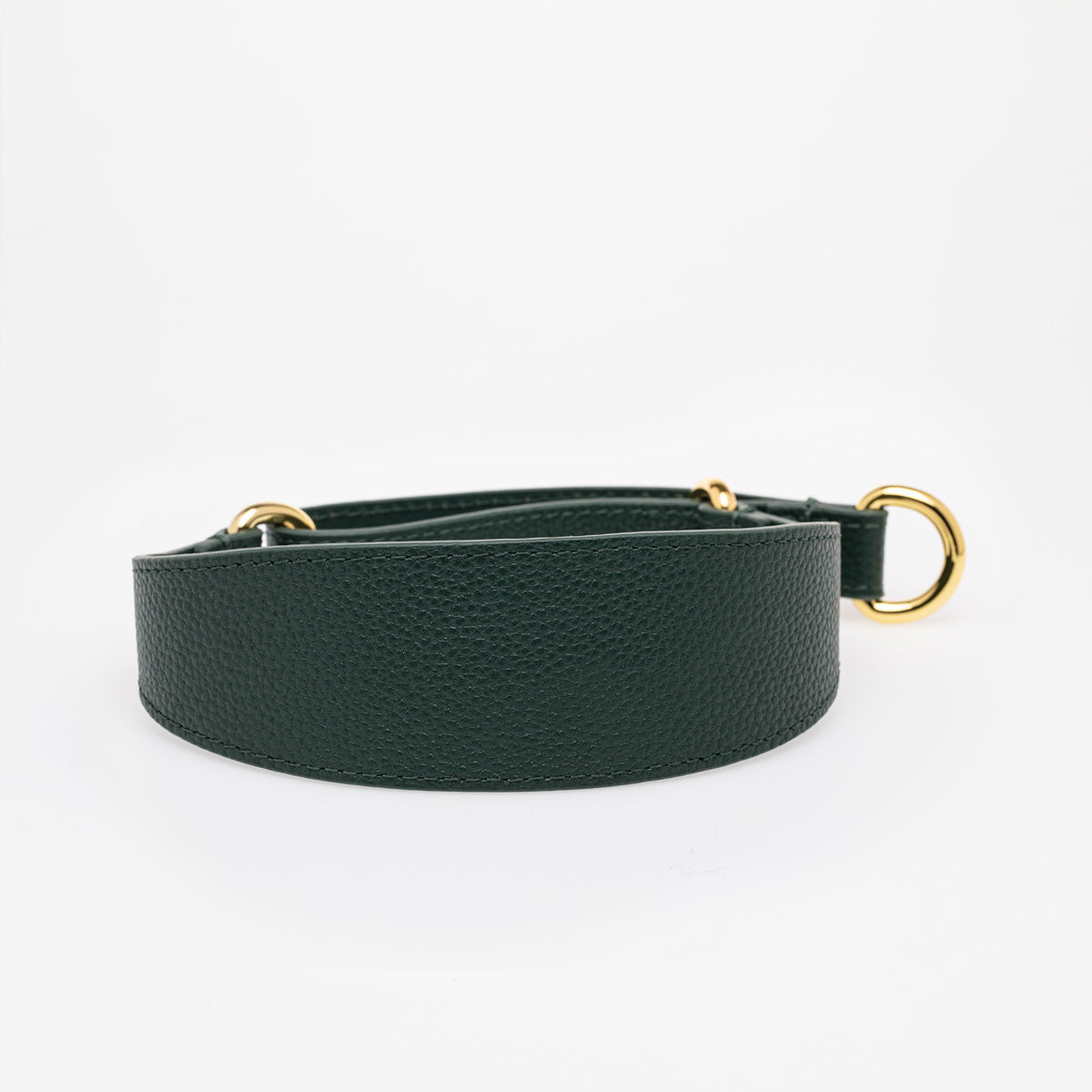 Dark Green Dog Martingale Wide