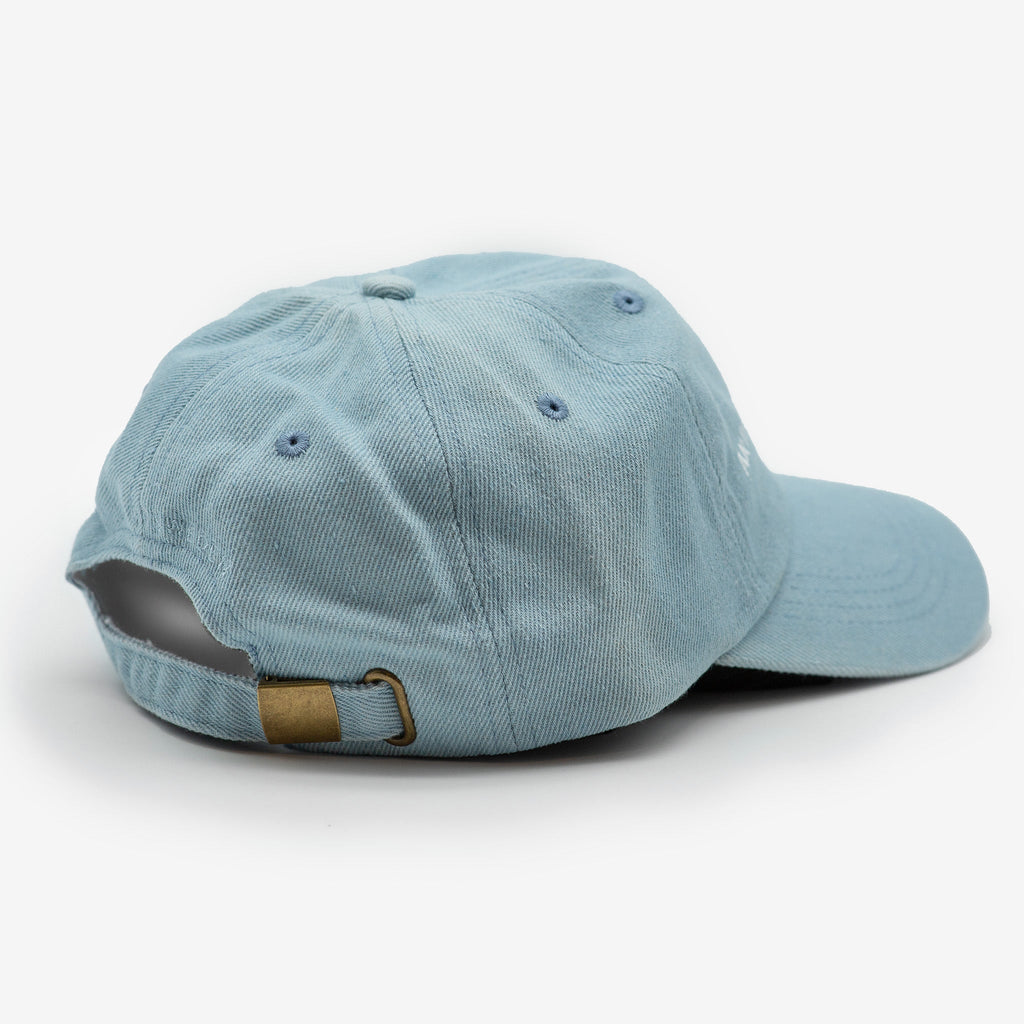 Denim Cap - Anti-Social Dog Owner