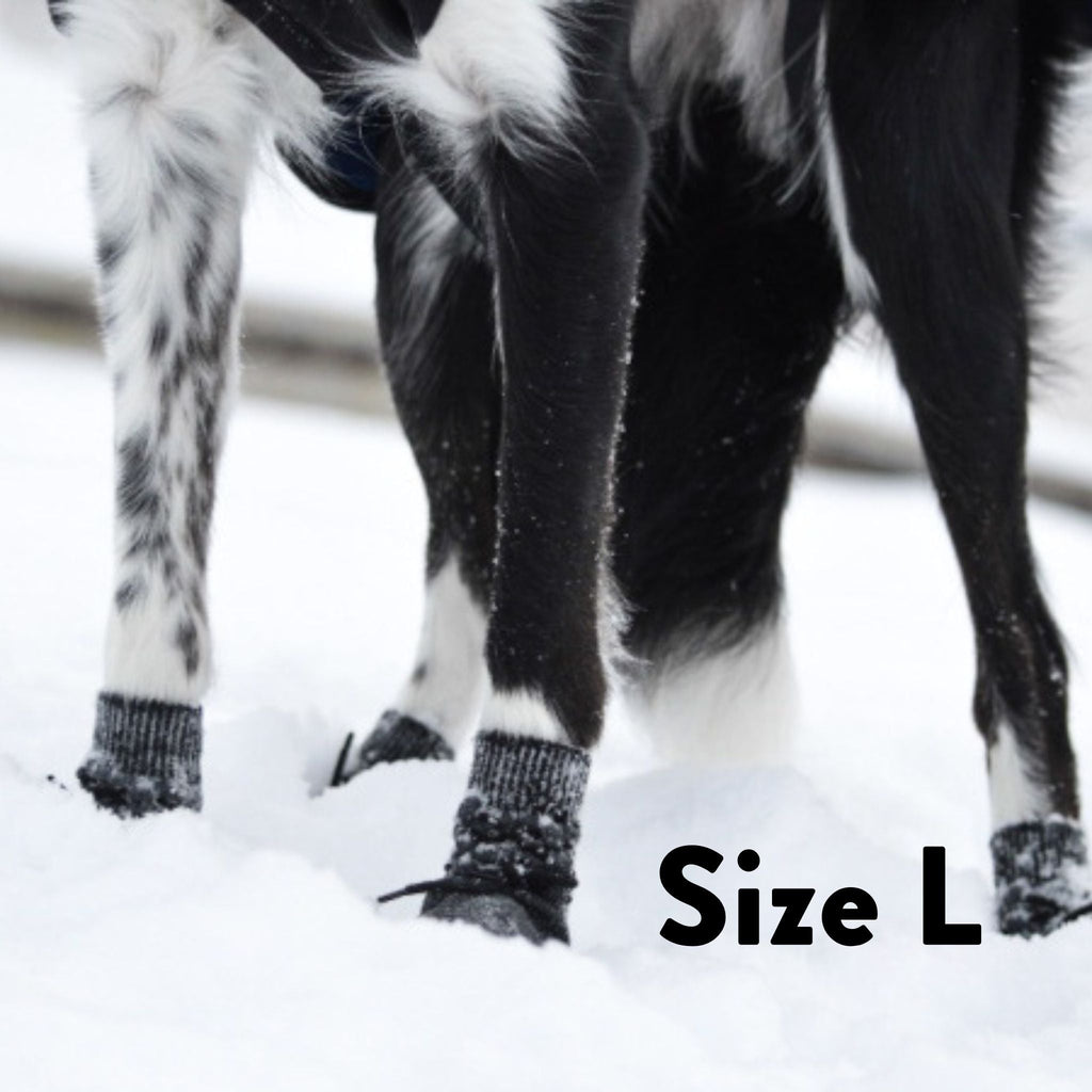 Dog Socks - 4 pack