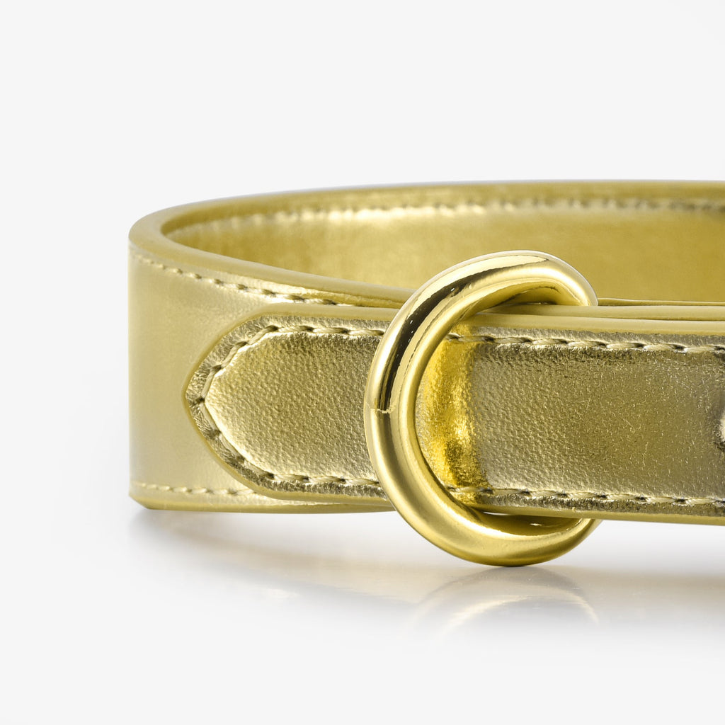 Gold Metallic Dog Collar Thin