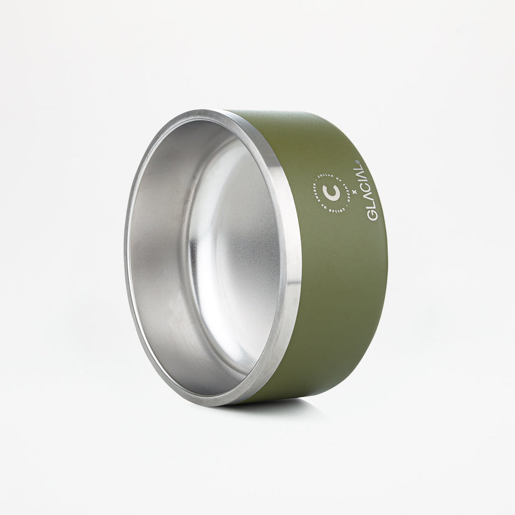 Green Dog Bowl