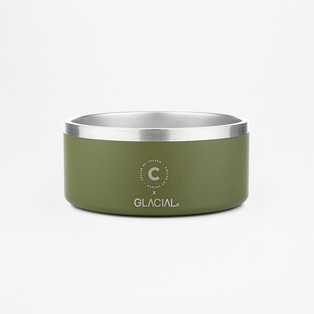 Green Dog Bowl
