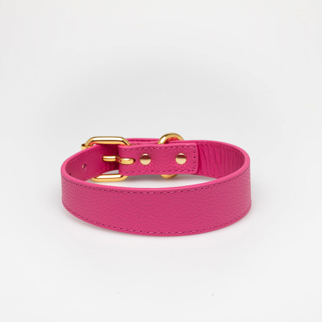 Hot Pink Dog Collar Thin