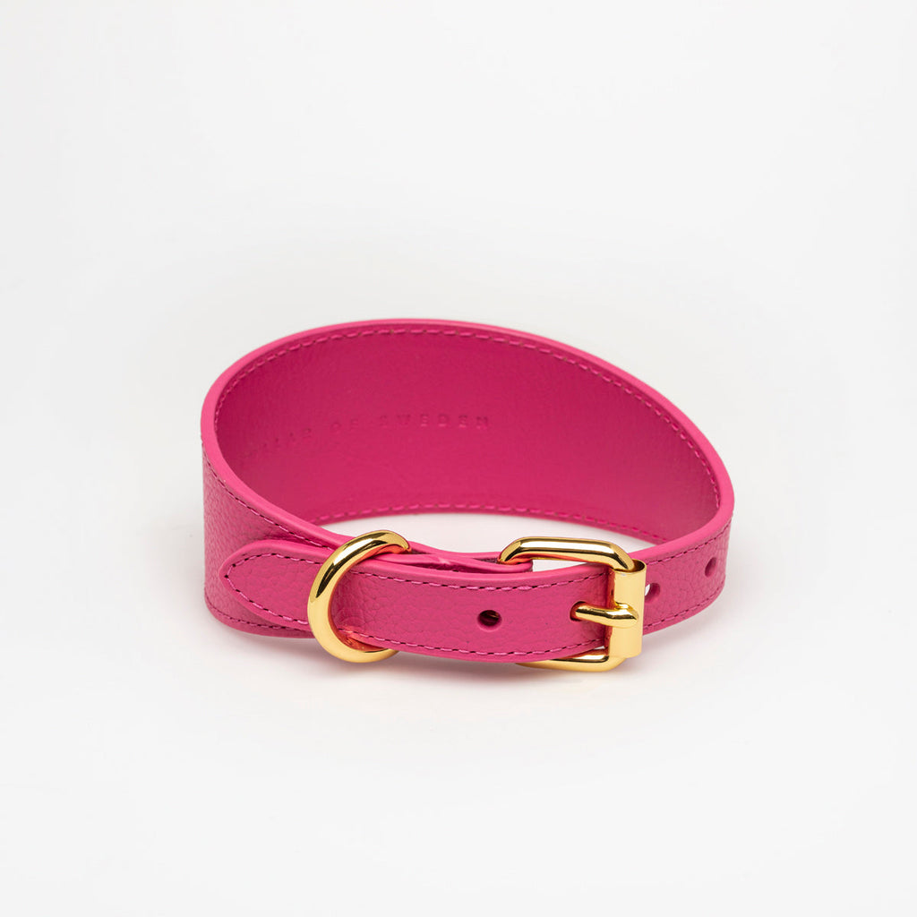 Hot Pink Dog Collar Wide