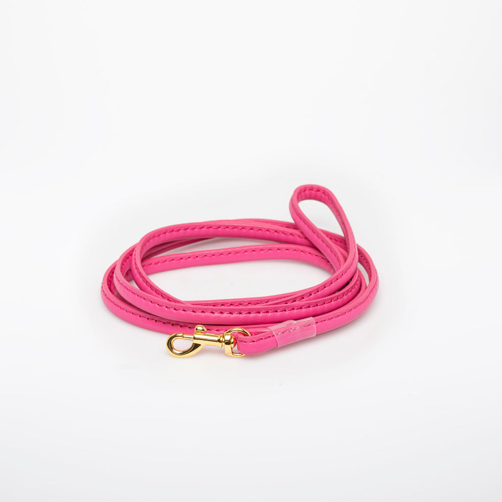 Hot Pink Dog Lead