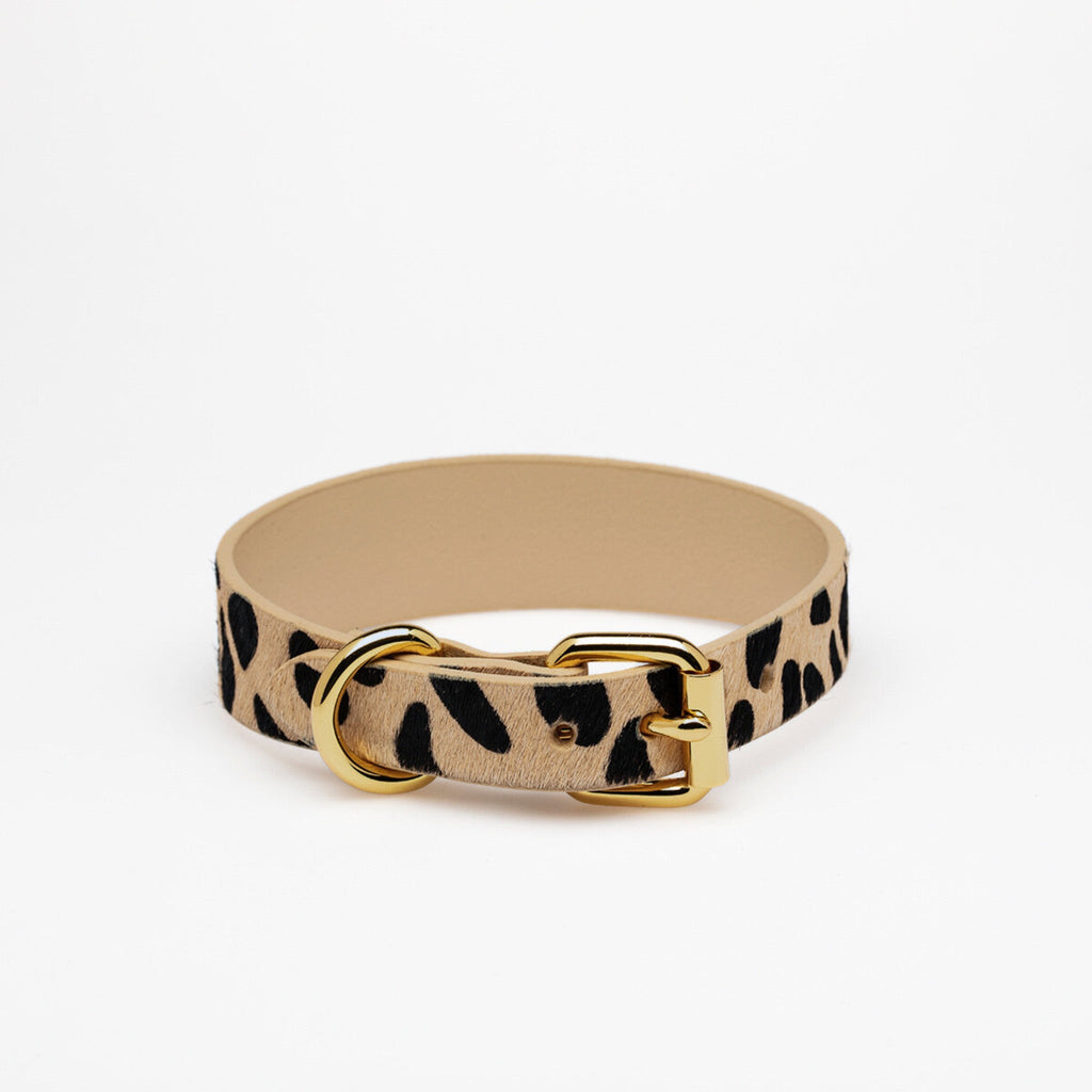 Leopard Dog Collar Thin