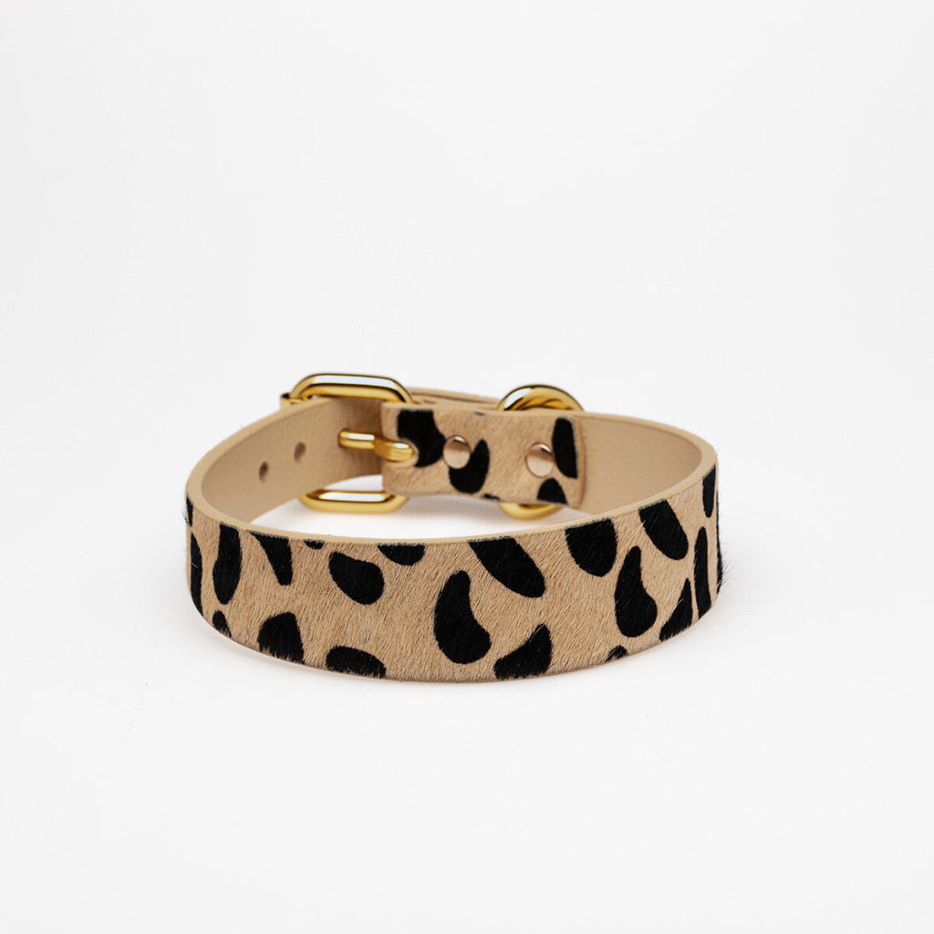 Leopard Dog Collar Thin