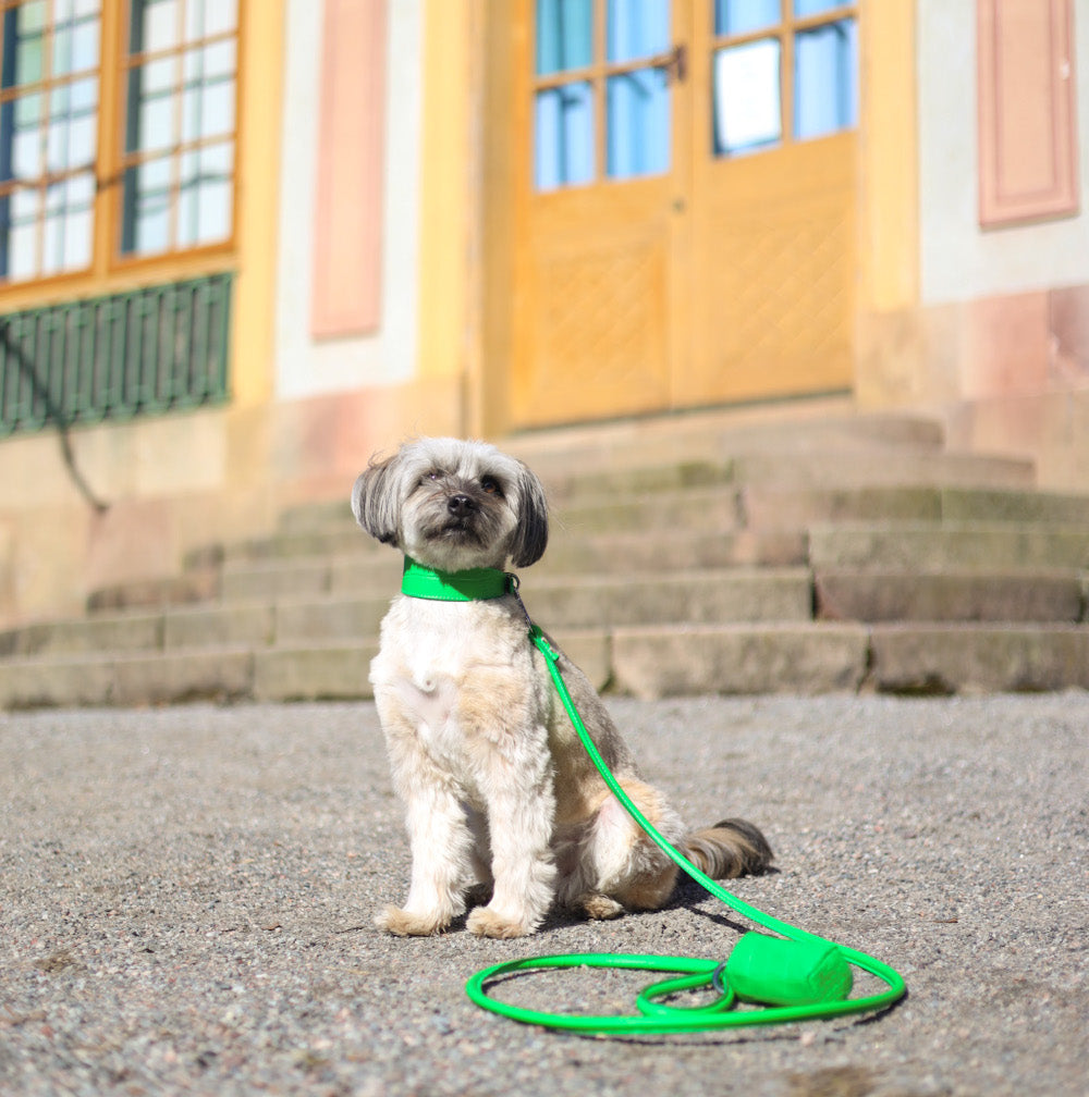 Pure Green Croco Dog Collar Wide