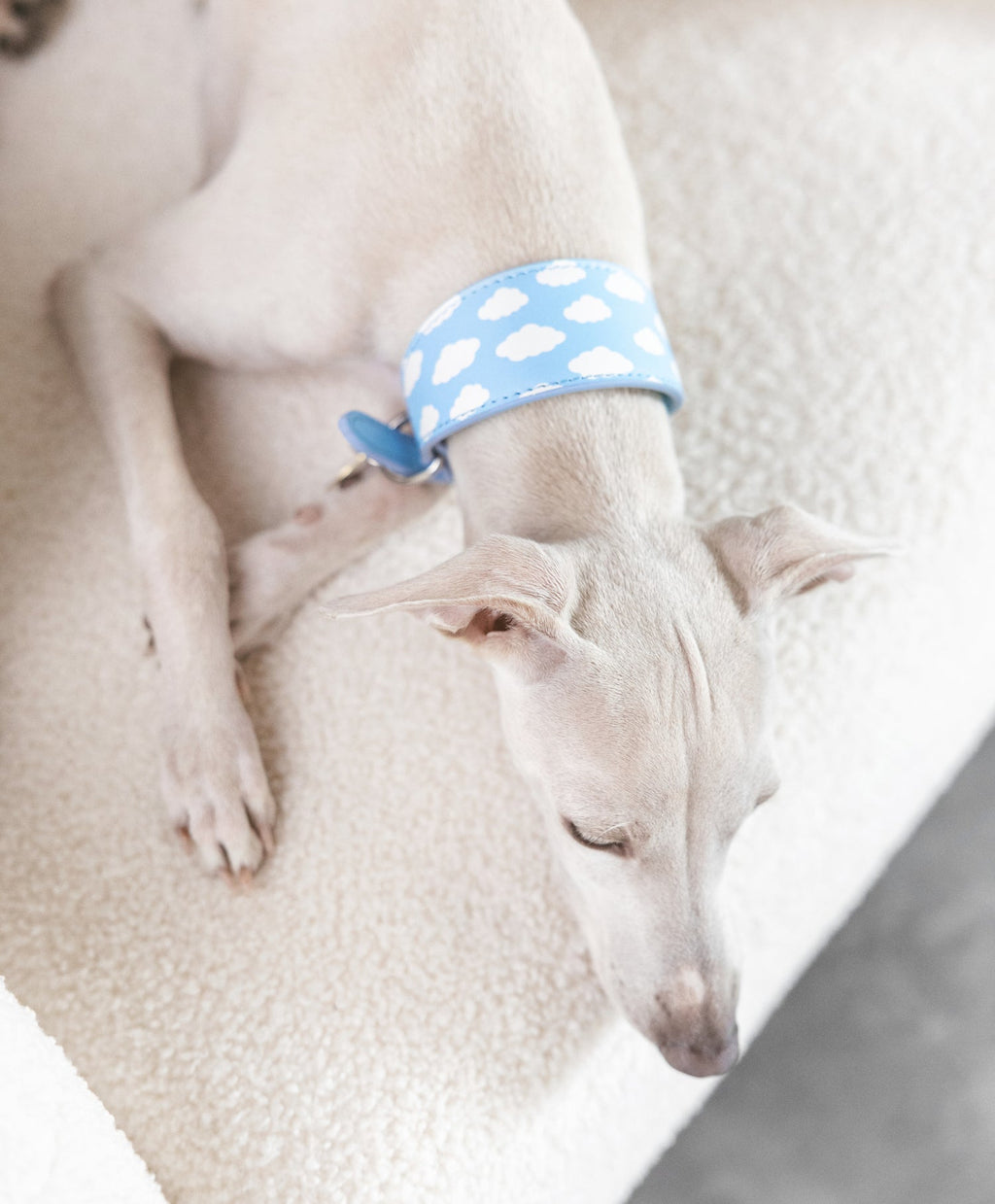 Clouds Dog Collar Wide