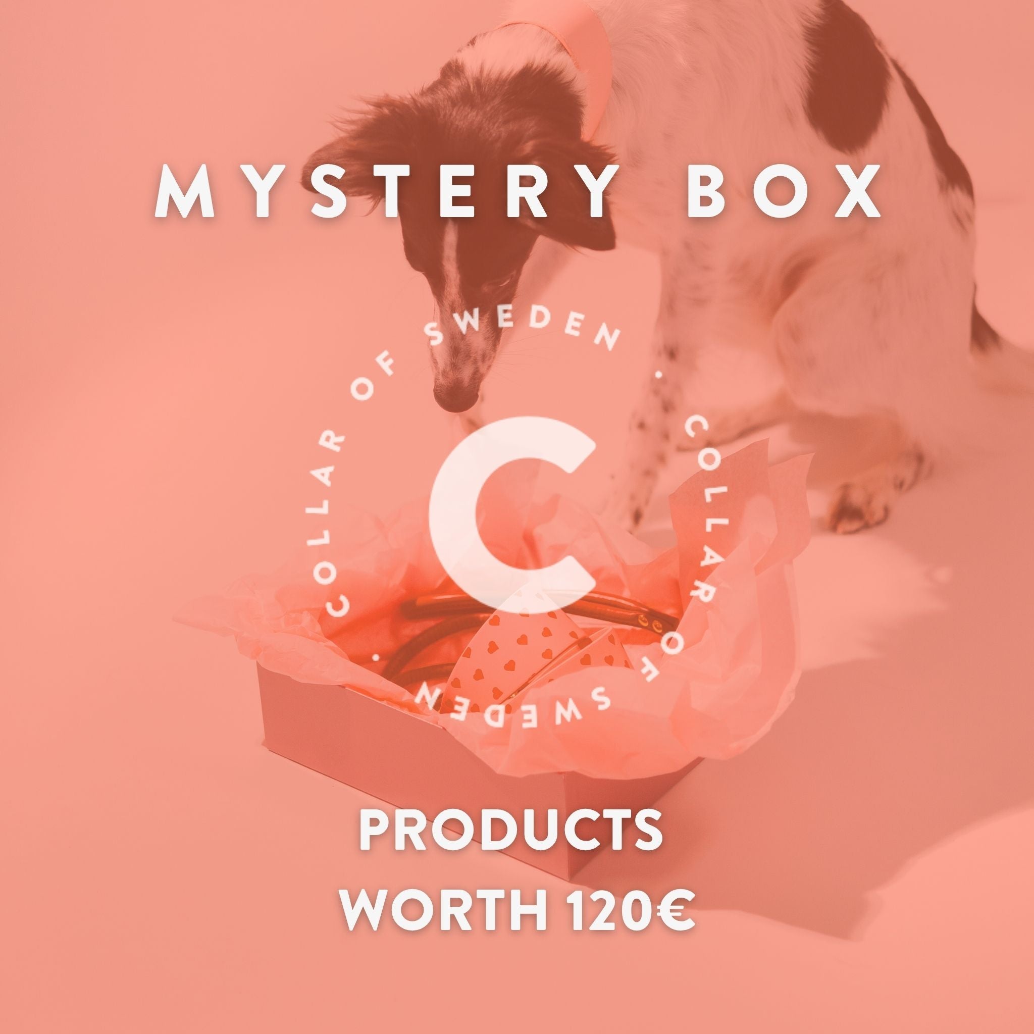 Mystery Box