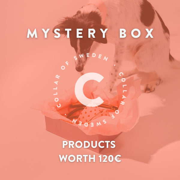 Mystery Box