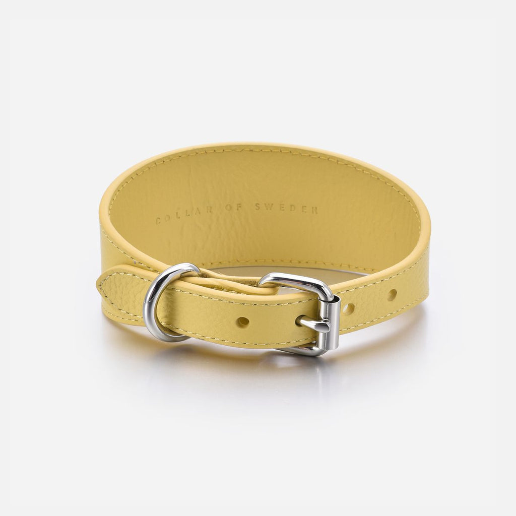 Pastel Yellow Dog Collar Wide