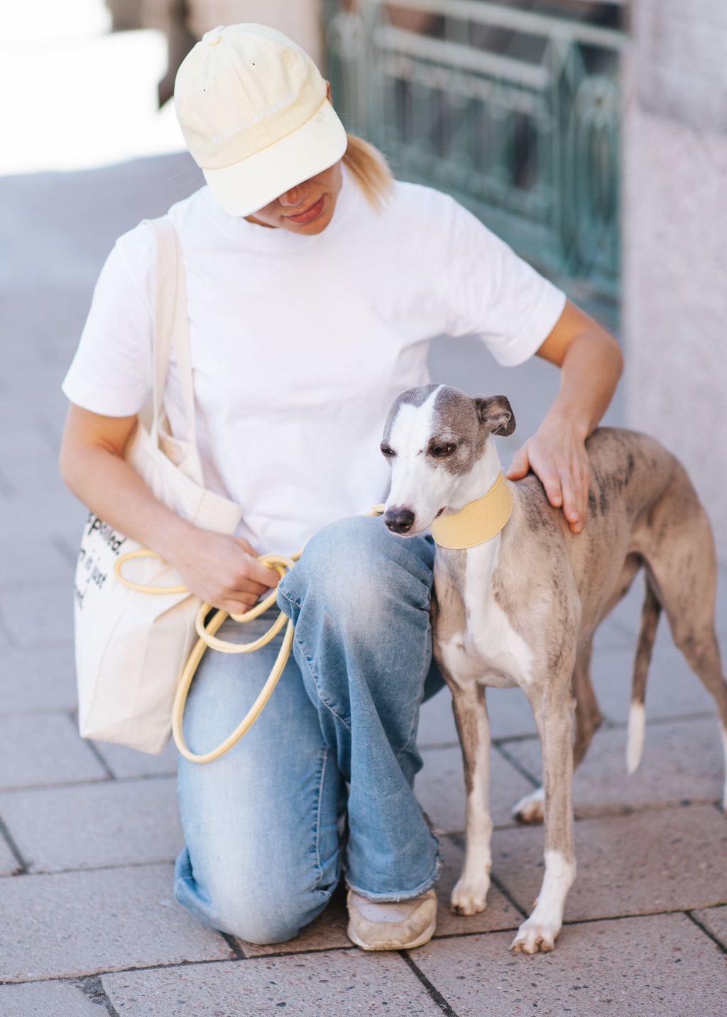 Pastel Yellow Dog Collar Wide
