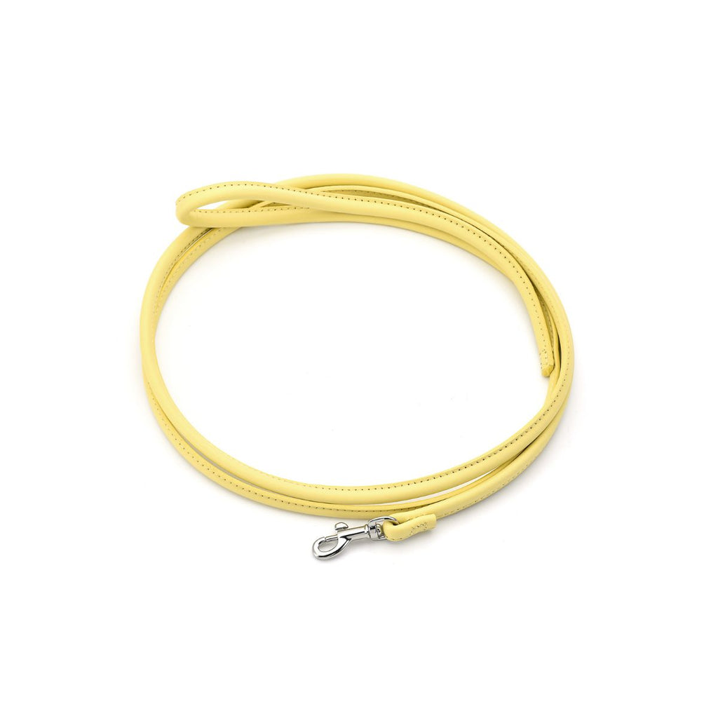 Pastel Yellow Dog Lead
