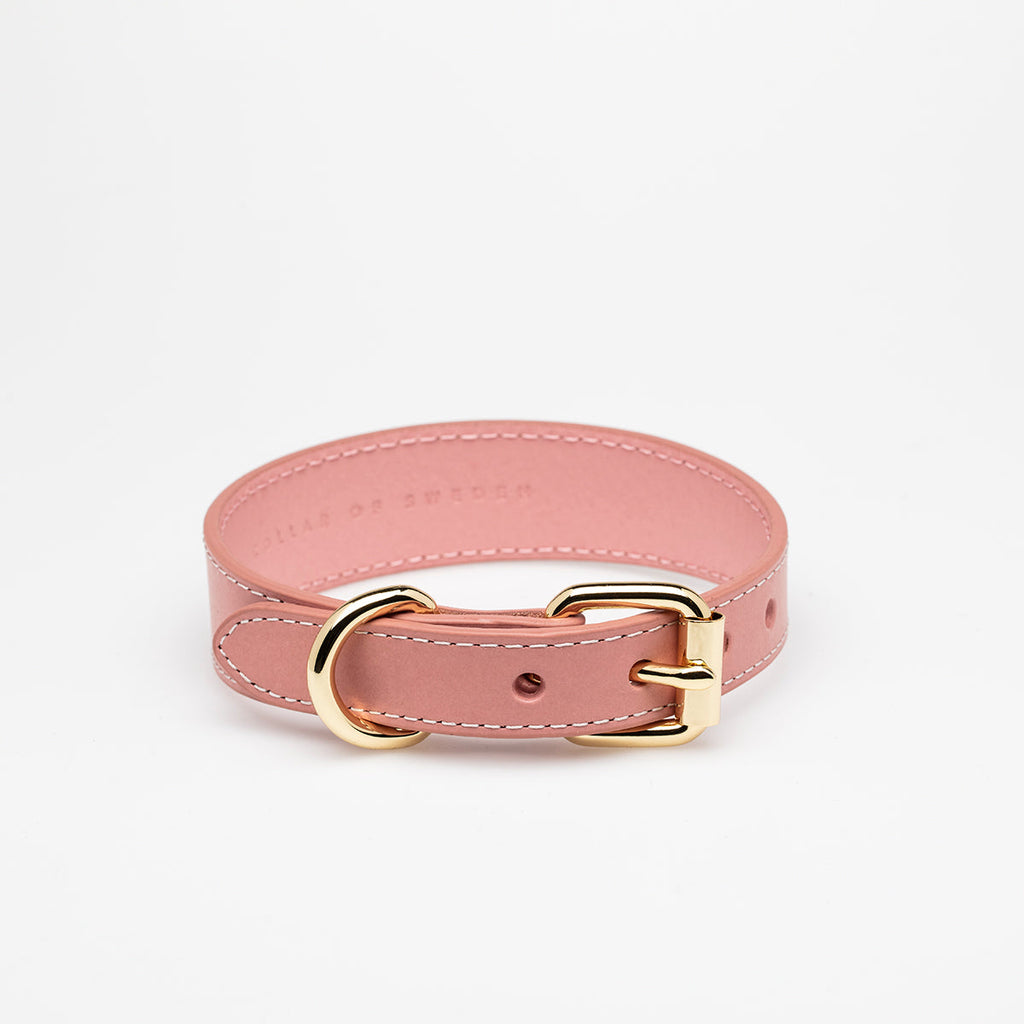 Pink Dog Collar Thin