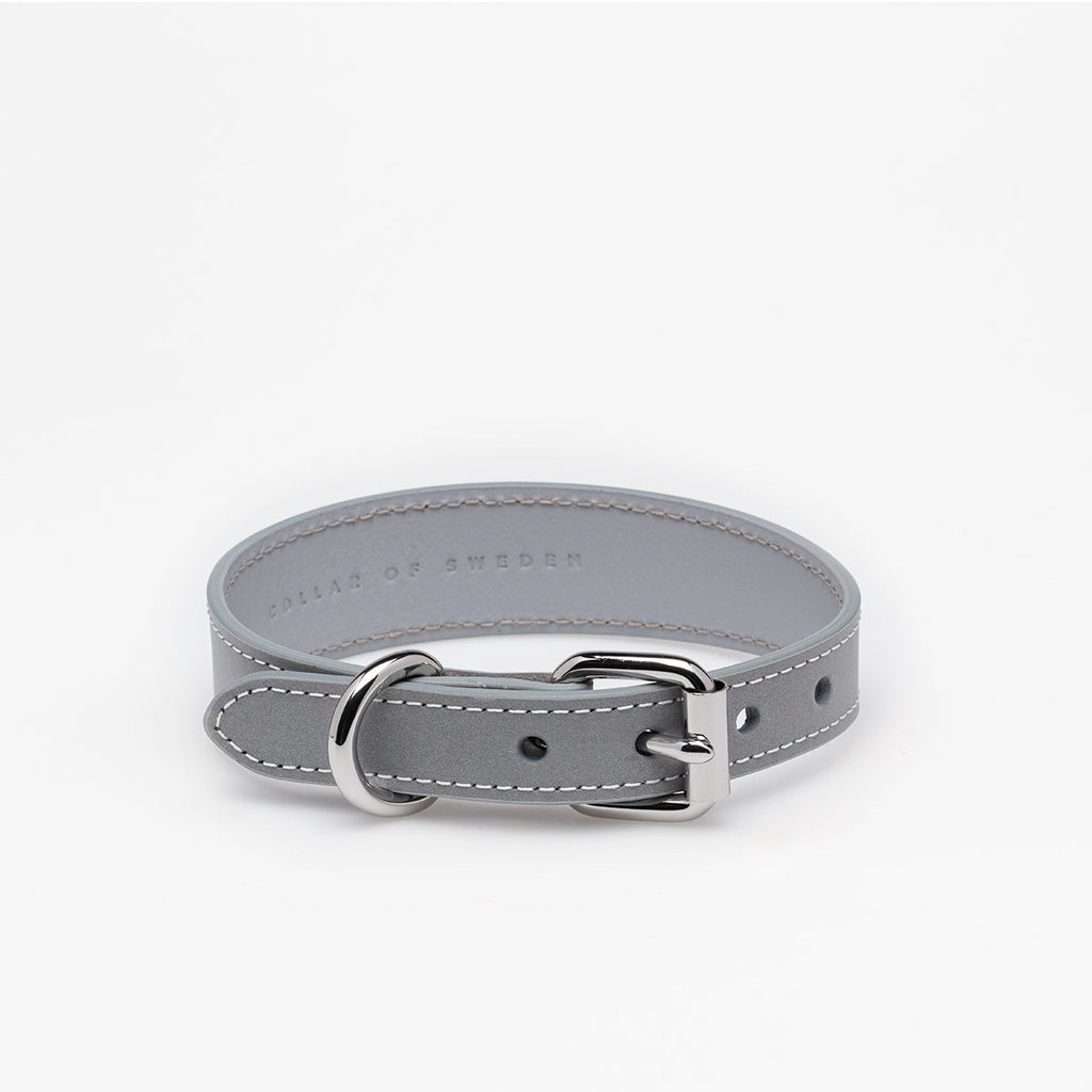 Reflective Silver Dog Collar Thin